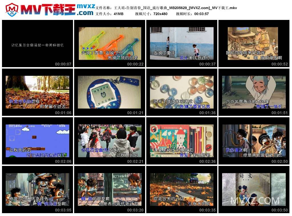 王大培-告别青春_国语_流行歌曲_MB205629
